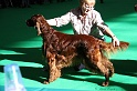 Crufts2011 087